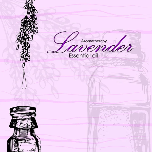 Ilustración vectorial del aceite esencial de lavanda — Vector de stock