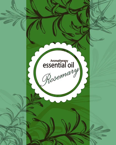 Etiqueta de óleo essencial de alecrim — Vetor de Stock