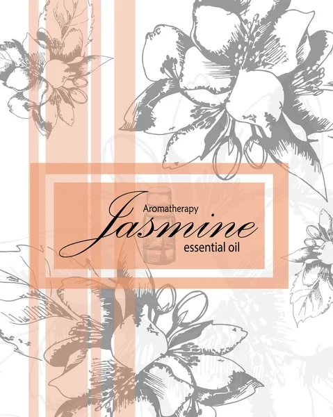 Label for essential oil of jasmine — Stock Vector