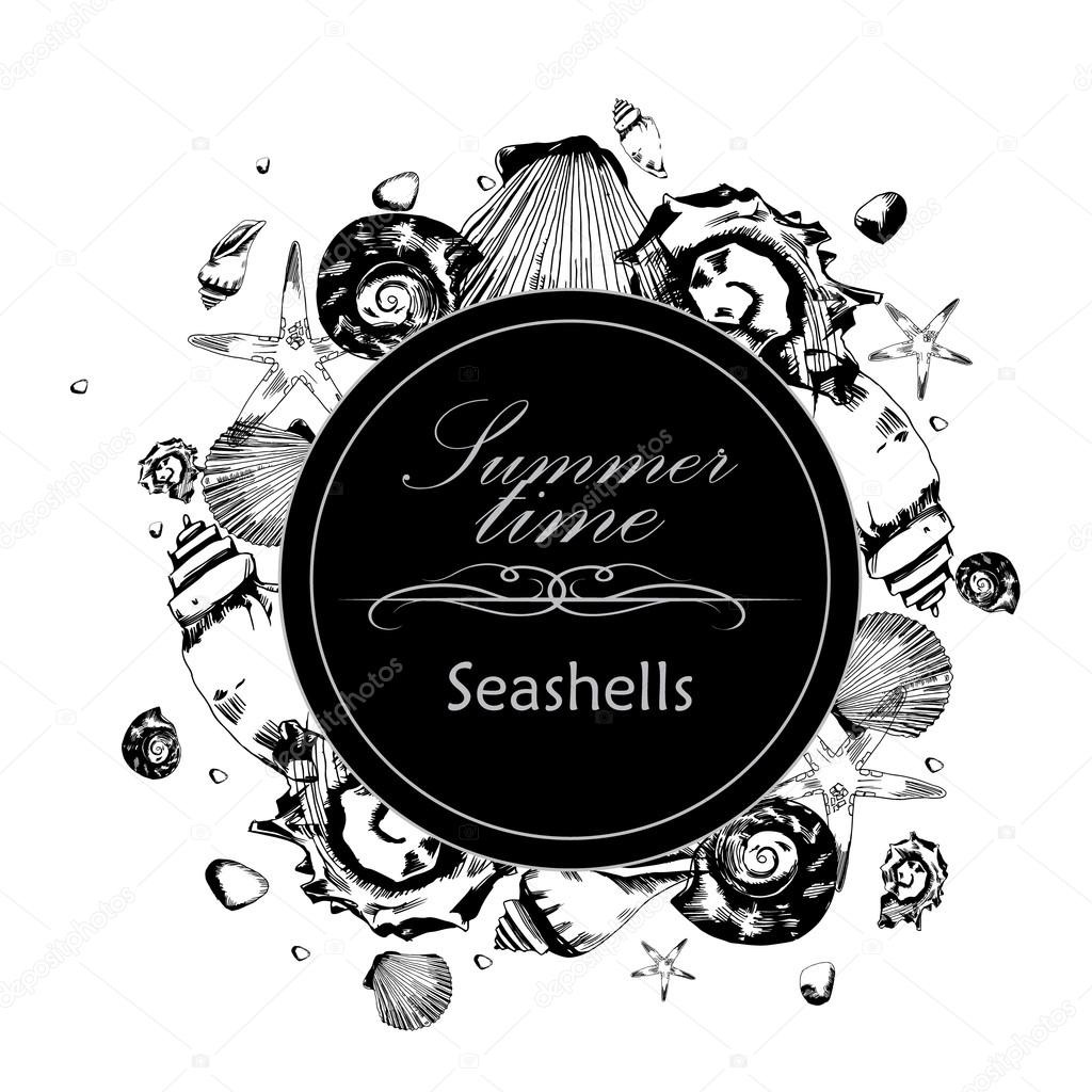 vector illustration of seashells in the style of hand drawn