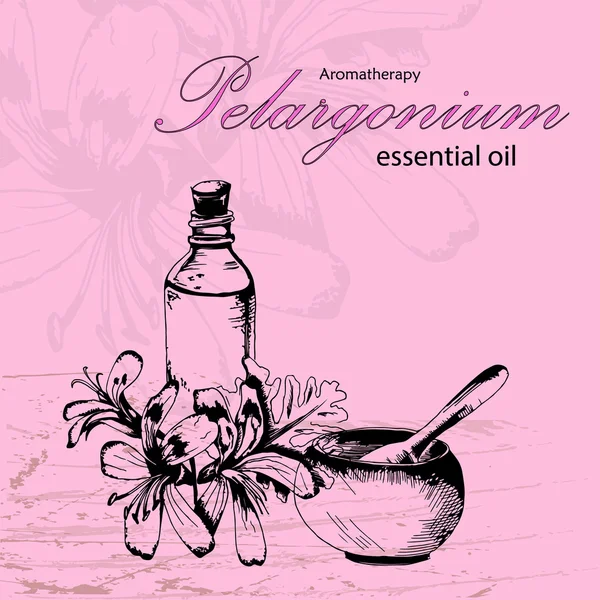 Ilustracja wektorowa olejku Pelargonium — Wektor stockowy