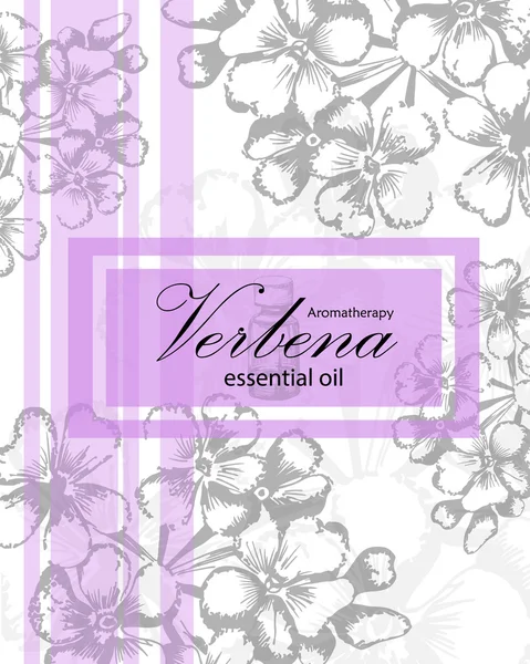 Label for essential oil of verbena — Stock Vector