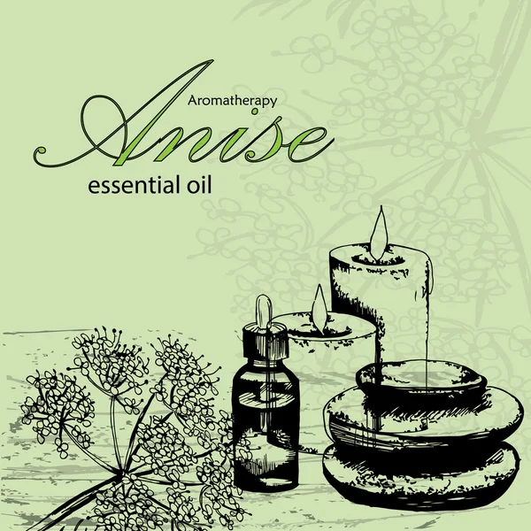 Ilustración vectorial del aceite esencial de anís — Vector de stock