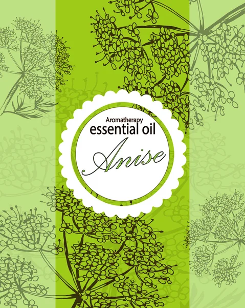 Label for essential oil of anise — Stock Vector