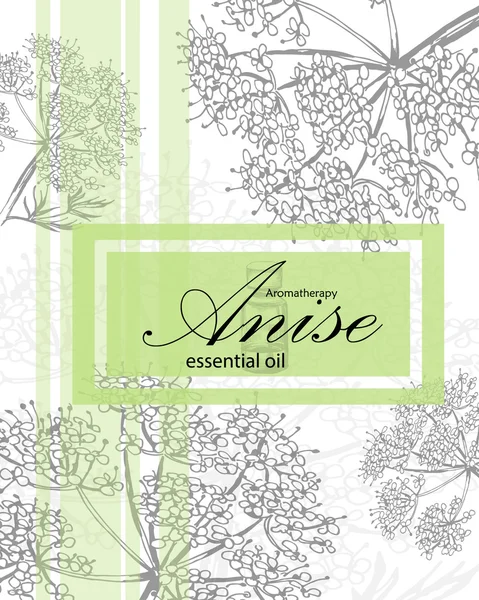 Label for essential oil of anise — Stock Vector