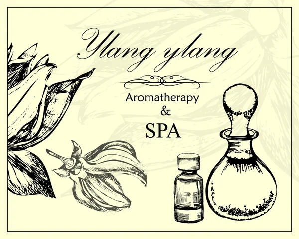 Vektorillustration von ätherischem Öl aus Ylang Ylang — Stockvektor