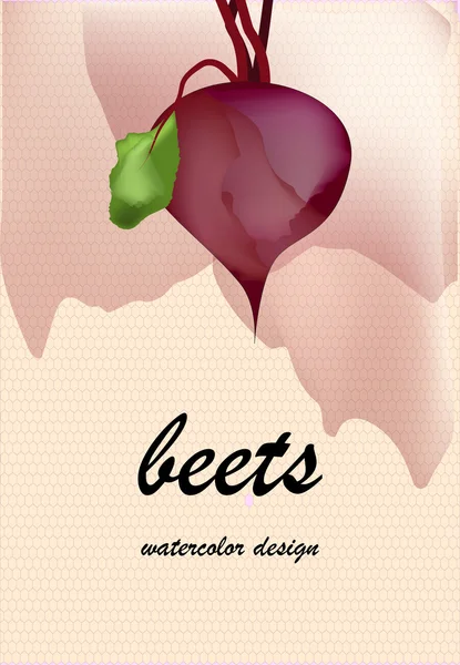 Beets on blurred background — Stock Vector