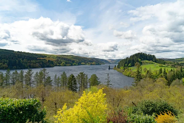 Vue Sur Lac Vyrnwy Powys Pays Galles Nord — Photo