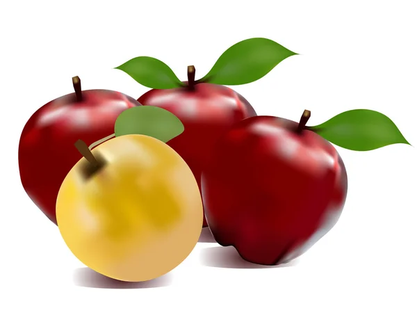 Ilustración vectorial de manzana roja y amarilla brillante detallada . — Archivo Imágenes Vectoriales