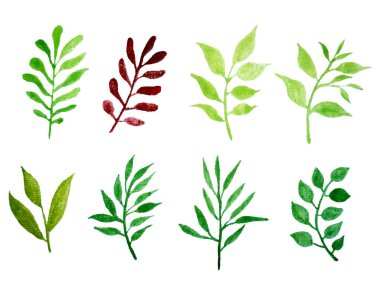  vektör suluboya yaprakları kümesi.