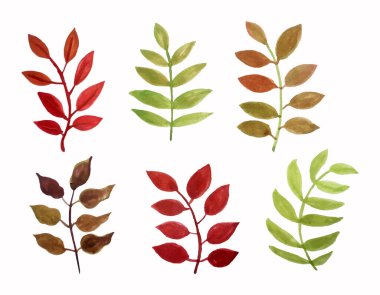  vektör suluboya yaprakları kümesi.