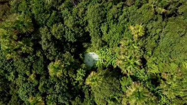 Mateiros, Tocantins, Brezilya - 07 01 2026: Turkuaz gölünün hava aracı. Fervedouro do Ceica, nehir kaynağı Jalapao bölgesinde turistik bir yer. Yüksek kalite 4k görüntü