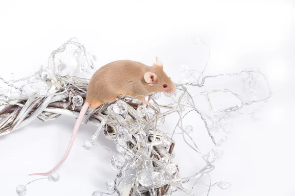 Curioso ratón beige sentado en una corona de ramitas, envuelto en guirnaldas de cristales blancos . — Foto de Stock