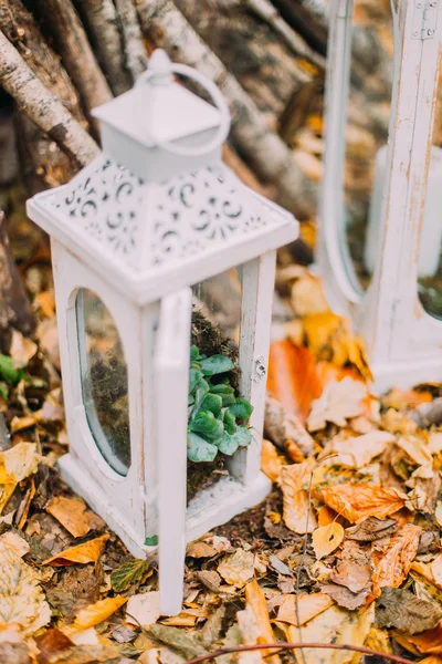 White vintage lantern on the autumn woods with yellow leaves — Stock Photo, Image