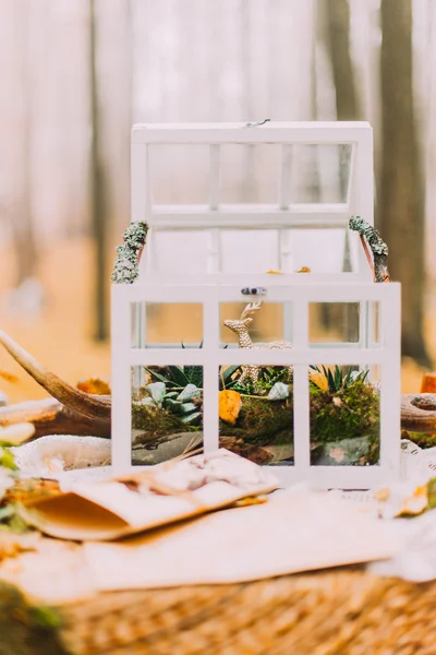 White vintage chest on the old table in autumn woods