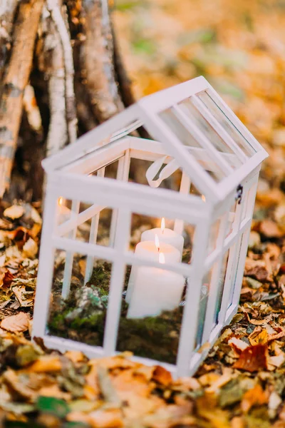 Fehér kézzel készített gyertya lámpa, az őszi erdőben — Stock Fotó