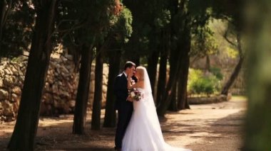 Egzotik adada parkta öpüşme muhteşem evli çift