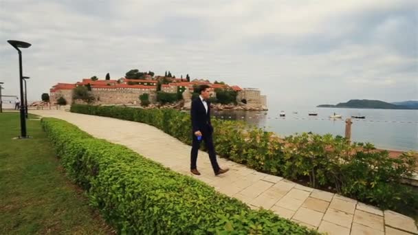 Красивого нареченого, ходьба Собака Сонячний зелена алея у Чорногорії, Будва — стокове відео