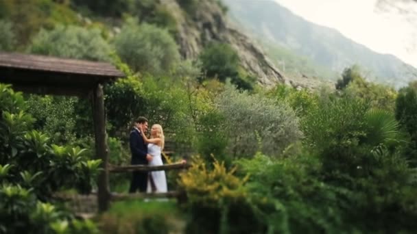 Joyeux couple de mariage s'embrassant dans l'alcôve en bois sur les bois du Monténégro, Budva — Video