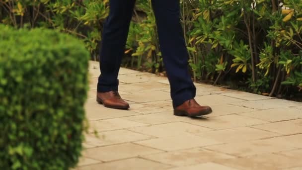 Novio guapo en zapatos elegantes paseando al perro en el callejón verde soleado en Montenegro, Budva primer plano — Vídeo de stock