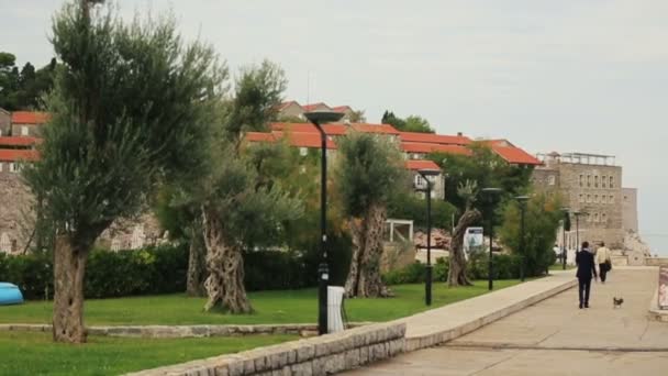 Lindo beco ensolarado em Montenegro, Budva — Vídeo de Stock