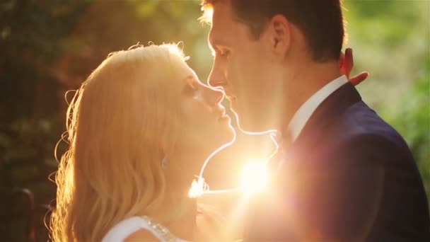 Casamento casal suavemente beijando no pôr do sol de perto — Vídeo de Stock