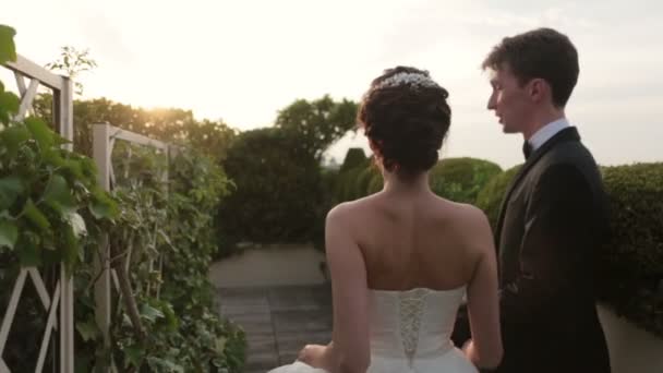 Pareja aristocrática de bodas caminando por los Campos Elíseos en París. Vista trasera — Vídeo de stock