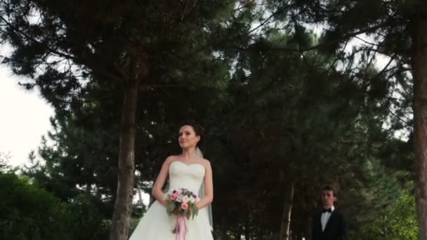 Hermosa pareja de boda besándose en los pinos. Día de la boda — Vídeo de stock