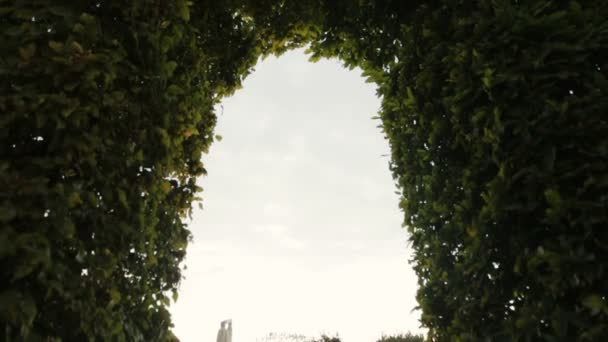 Charming fragile brunette bride passing through the green ivy arch on the Elysian Fields — Stock Video