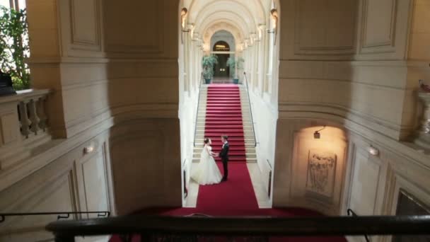 Noiva romântica e noivo ternamente de mãos dadas no Louvre, Paris. Dia do casamento — Vídeo de Stock