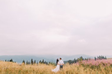 Güzel gelin ve damat Alp adlı çayırda sarıl. Balayı