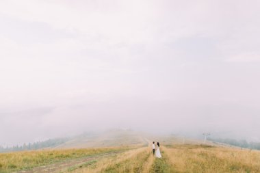 Mutlu evlilik çift Holding yeşil sahada eller. Sis arka plan