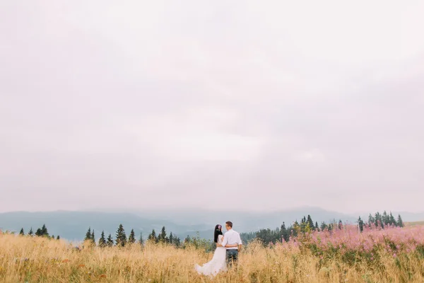 Okouzlující nevěsta a ženich obejmout v louce v Alpách. Líbánky — Stock fotografie
