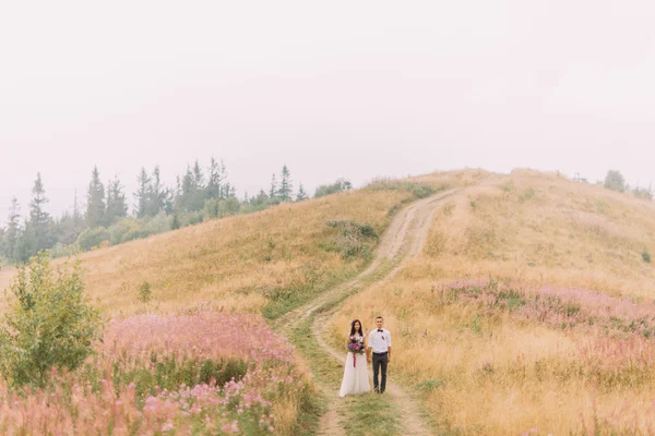 Feliz novia y novio posando en el campo. Luna de miel en las montañas alpinas — Foto de Stock