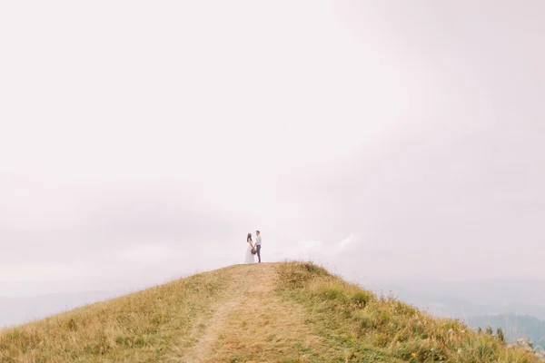 Verheugd huwelijksfeest paar houden handen op de bergtop. Romantische huwelijksreis — Stockfoto