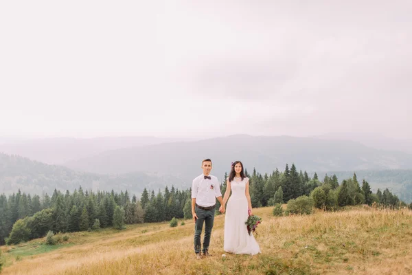 幸福的新婚夫妇手牵着手，微笑着。美丽的山风景背景 — 图库照片