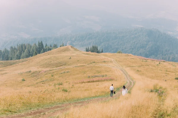 Casal de casamento encantador andando no caminho. Fundo das montanhas alpinas. Lua de mel . — Fotografia de Stock