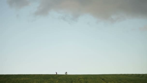 Happy wedding couple running skipping on the green field. Beautiful skyline on background. — Stock Video