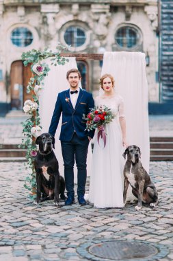 Stylish young wedding couple with two purebread dogs posing with wedding decorations on the baroque architecture on background clipart