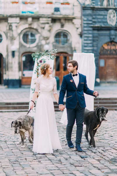 Casal feliz caminhando os cães no centro da cidade de Lviv — Fotografia de Stock