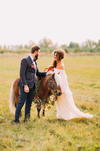 Schönes Hochzeitspaar spaziert mit kleinem Pony auf dem Feld — Stockfoto