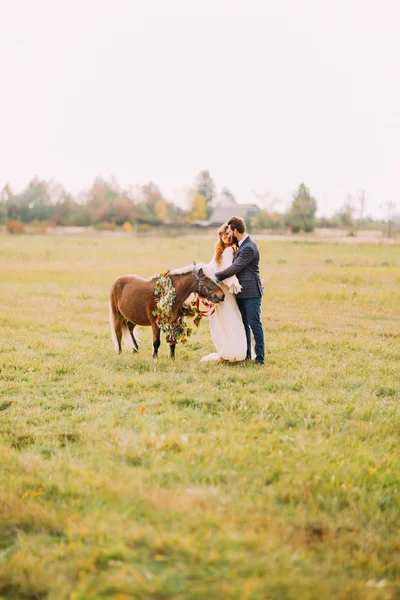 Belos recém-casados acariciando pouco pônei bonito no campo — Fotografia de Stock