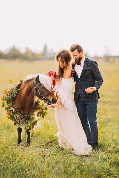 Feliz boda pareja alimentación pony en el campo — Foto de Stock