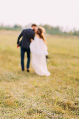 Mutlu gelin ve damat kırsal sahasının öpüşme