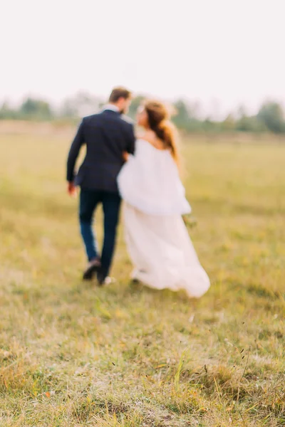 Novia feliz y novio caminando en el campo en el campo — Foto de Stock