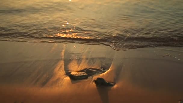 埃及美丽的海滩在日落时关闭 — 图库视频影像