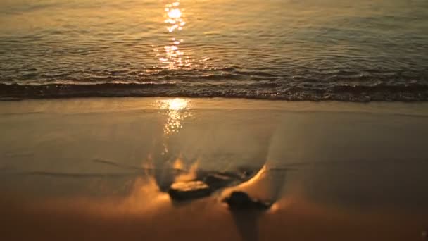 Wonderful surf on the sunset. Summer in Egypt — Stock Video