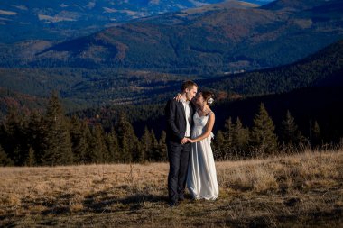 Happy wedding couple hugs on the field in mountains