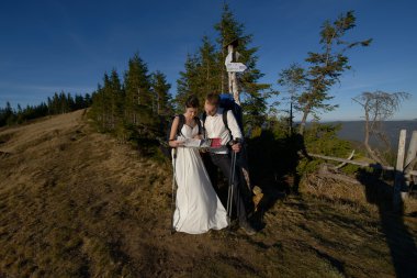 Tourist wedding couple with map in hands  climbs on the top of mountain. Sunny day