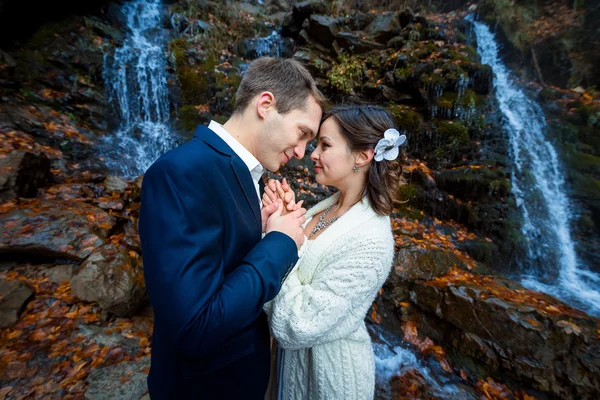 Young wedding couple softly holding hands. Breathtaking waterfall on background — 图库照片